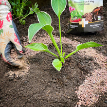 Load image into Gallery viewer, MIRACLE-GRO® 2 IN 1 NOURISH & PROTECT FLOWERS, FRUIT & VEG PLANT FOOD