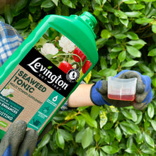 Load image into Gallery viewer, LEVINGTON® SEAWEED TONIC MULTI VITAMIN SUPPLEMENT