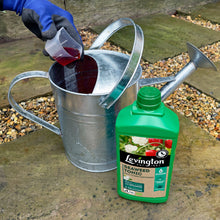 Load image into Gallery viewer, LEVINGTON® SEAWEED TONIC MULTI VITAMIN SUPPLEMENT