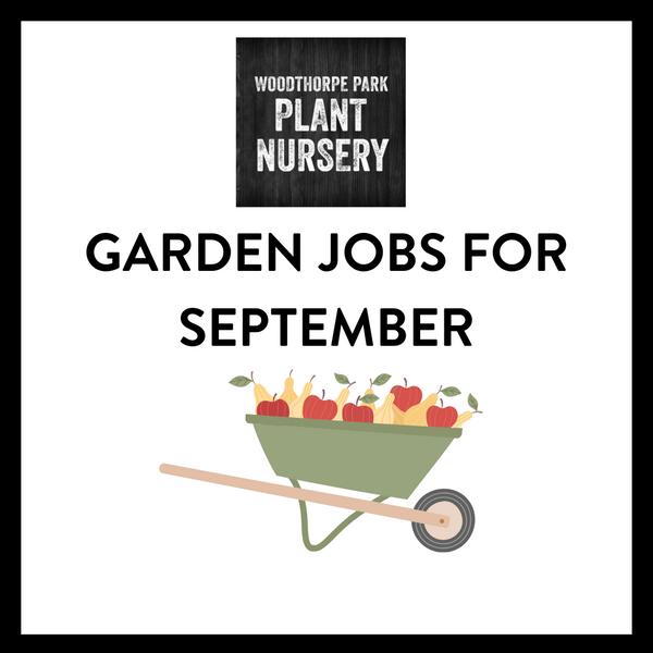 Garden jobs for September