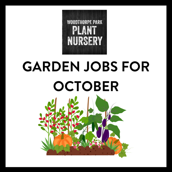 Garden jobs for October