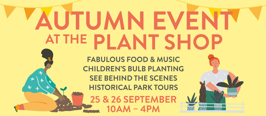 Autumn Event at the Plant Shop