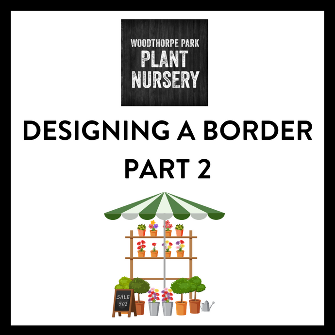 Designing a border part 2: choosing plants