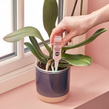 Load image into Gallery viewer, MIRACLE-GRO® DRIP &amp; FEED ORCHID

